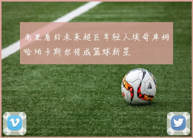 老里看好未来超巨年轻人埃奇库姆哈珀卡斯尔将成篮球新星